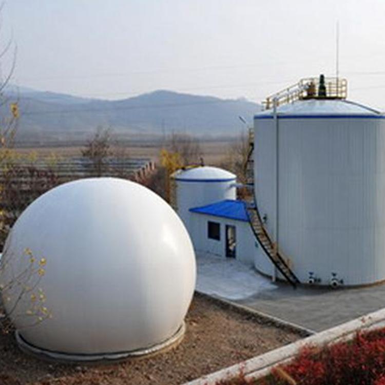 Poultry house anaerobic reactor assembly tank double film biogas holder integrated anaerobic equipment biogas generator purification environment equipment